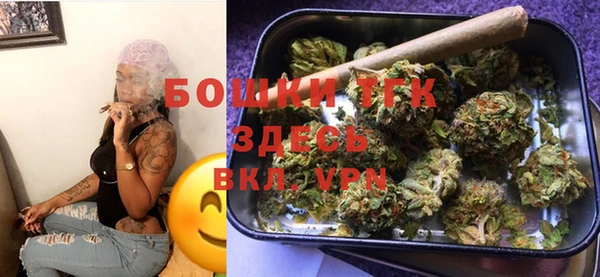 МДПВ Дмитровск
