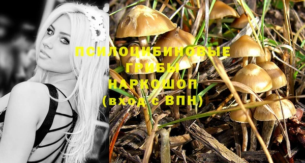 экстази Гусь-Хрустальный