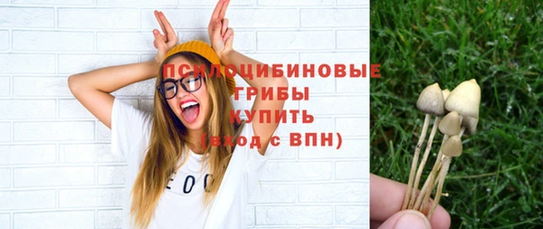 прущий лед Гусиноозёрск