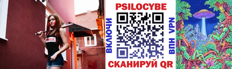 Купить  Камень-на-Оби  Псилоцибиновые грибы прущие грибы 